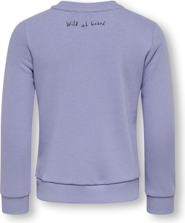 Image du produit Only KMGGINNIE Sweatshirt Sweatshirt (110)