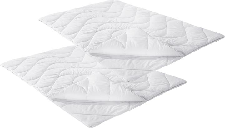 Immagine prodotto Erwin Müller Lech (1000 g, 155 x 220 cm)