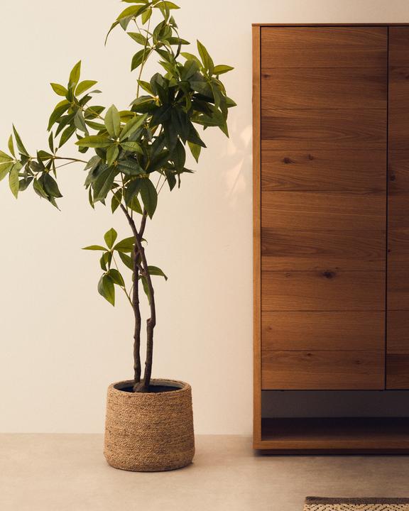 Immagine prodotto Kave Home Pachira (180 cm)