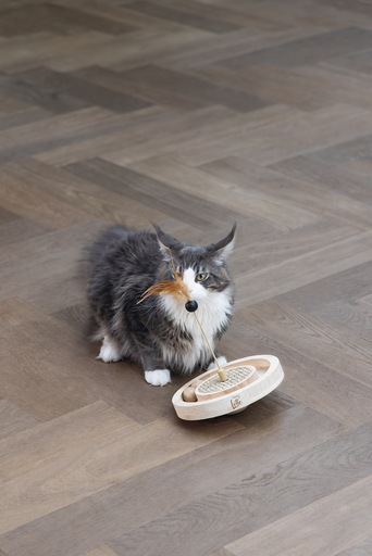 Immagine prodotto Designed by Lotte Winni (Catmint giocattolo)