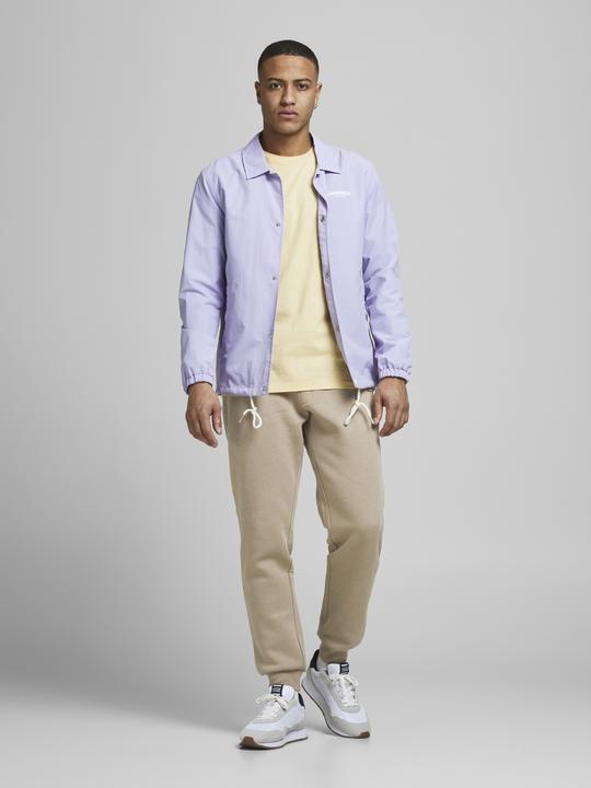 Immagine prodotto Jack & Jones Gordon Weich Sweathose (XL)
