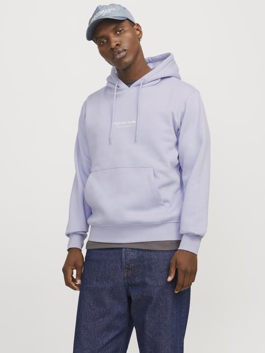 Produktbild Jack & Jones Gedruckt Kapuzenpullover Kapuzenpullover (M)