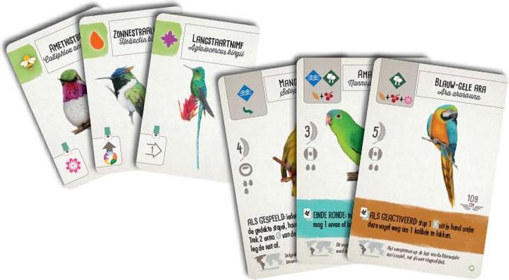 Actual product image 999Games 999 Games Wingspan-Erweiterung – Mittel- und Südamerika
