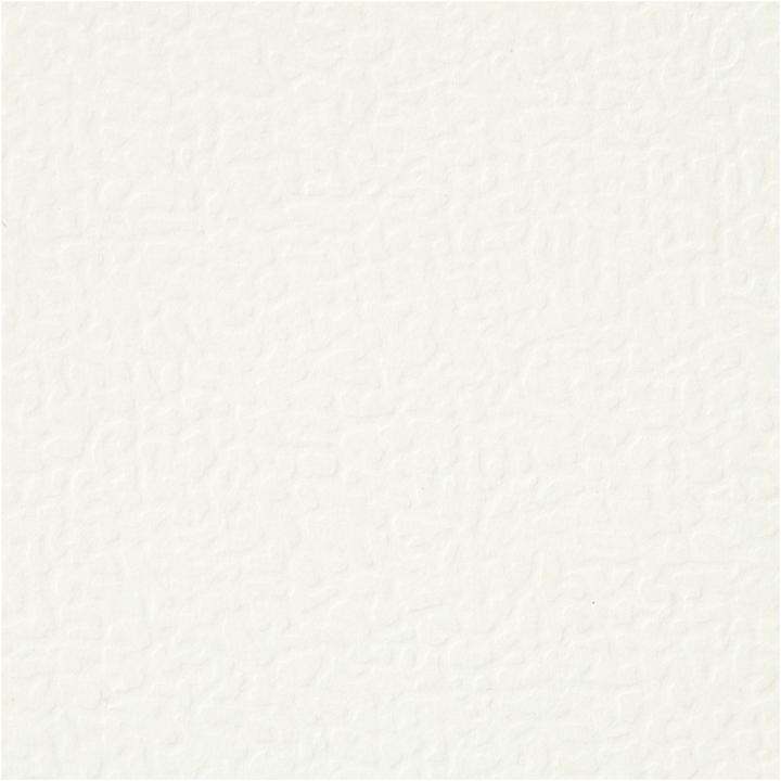 Image du produit Creativ Company Carton photo (220 g/m², 10 x)