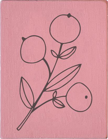 Produktbild May & Berry M&B Beerenzweig