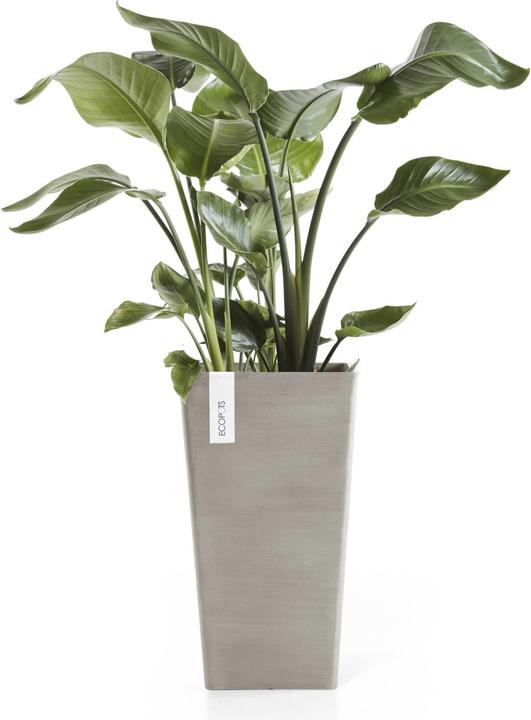 Produktbild Ecopots Rotterdam halbhoch (31 cm)