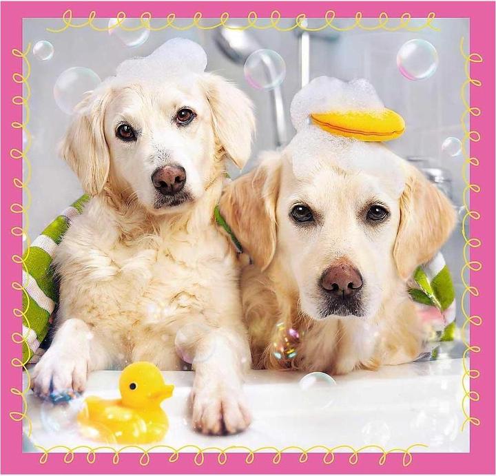 Immagine prodotto Trefl Puzzle - Cani - 3in1 20-50 pezzi (50 pezzi)