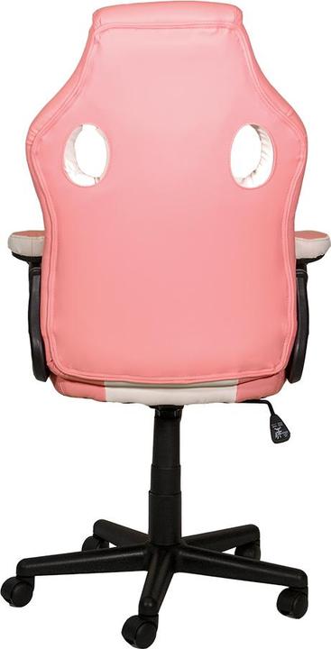 Actual product image Xtreme MX12 KOR