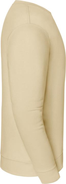 Produktbild Fruit of the Loom Iconic Premium Sweatshirt Eingesetzt (S)