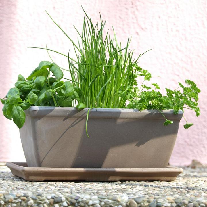 Immagine prodotto Spang Balkonkasten glatt umbra 40 x 18 x 17 cm mit Loch (18 cm)