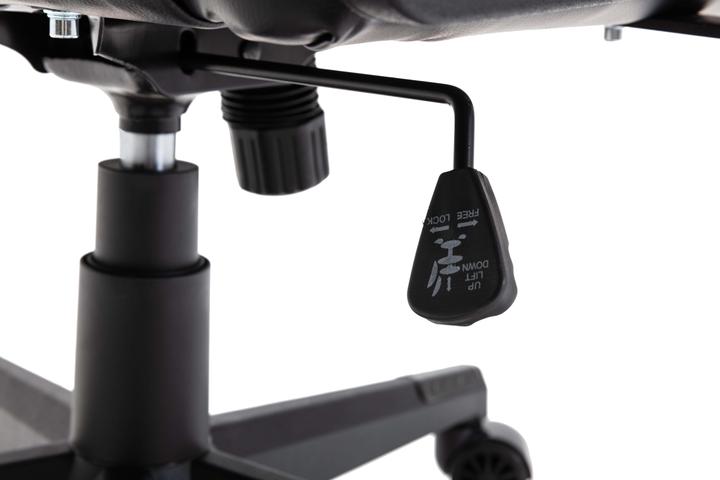 Actual product image L33T Evolve