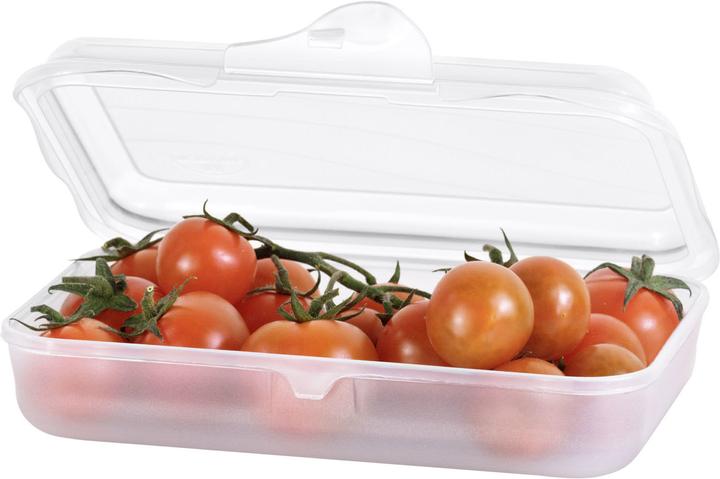 Actual product image Rotho Fun