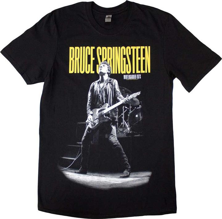 Bruce Springsteen Winterland Ballroom Guitar