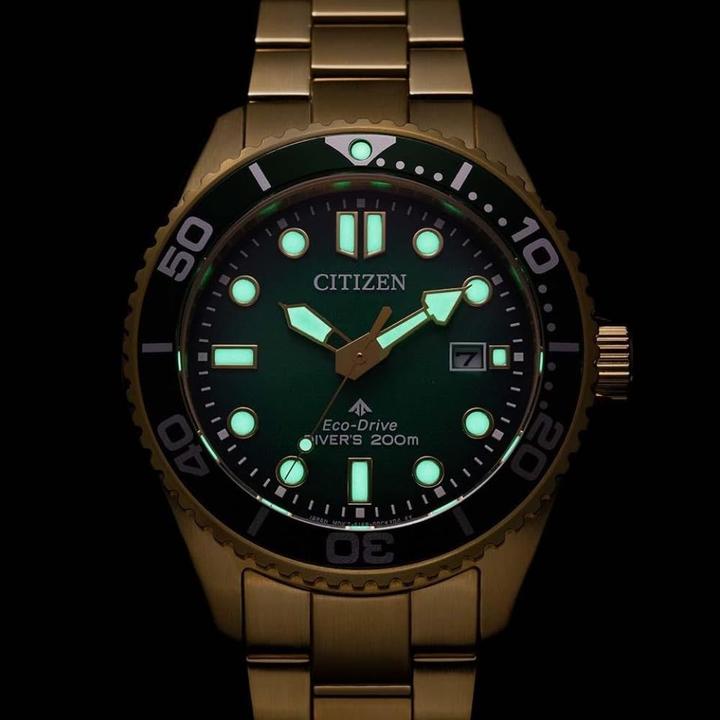 Image du produit Citizen BN0262-59W (41 mm)