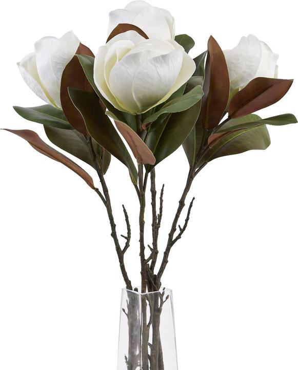 Image du produit Hill Interiors - Fleur artificielle MAGNOLIA (78 cm)