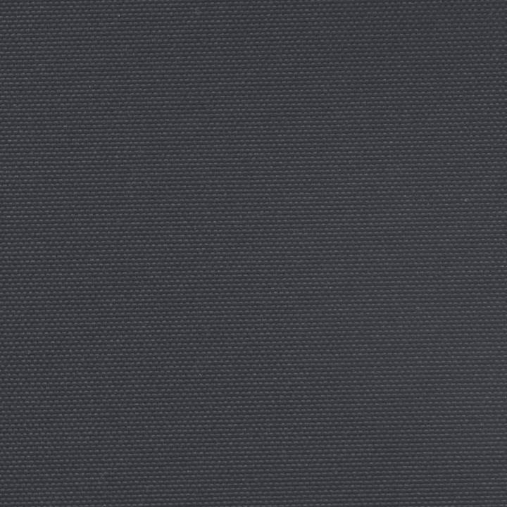 Image du produit vidaXL ausziehbare Seitenmarkise (6 m)