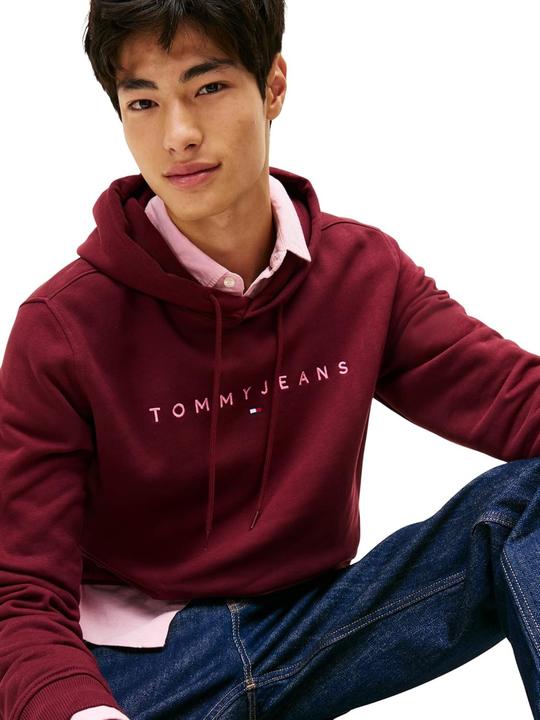Produktbild Tommy Jeans Tjm Reg Linear Logo Hoodie Ext (S)