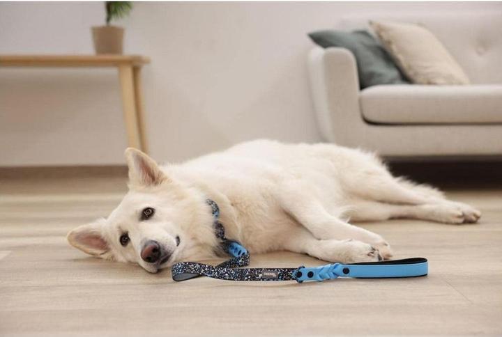 Produktbild Kerbl Halsband Lima (25, Hund, Allgemein)