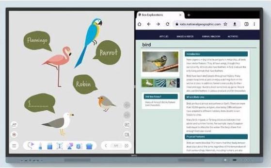 Actual product image BenQ RM6504 65IN 4K DIRECT LED (3840 x 2160 Pixels, 65")