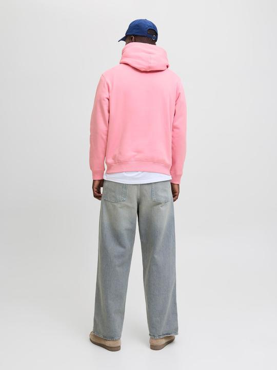 Actual product image Jack & Jones Kapuzenpullover Kapuzenpullover (XL)