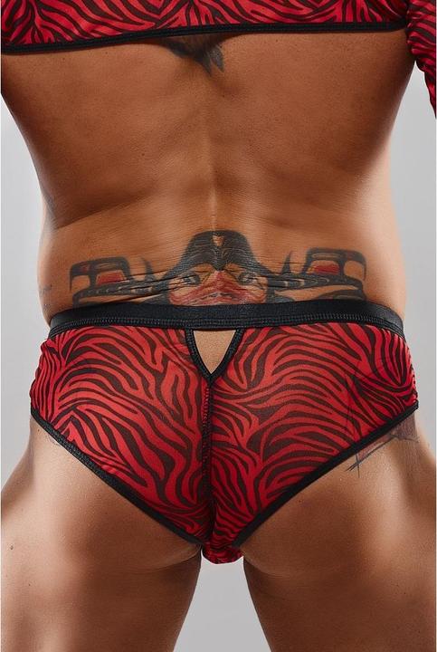 Image du produit Regnes Fetish Planet Slip pour homme (L)