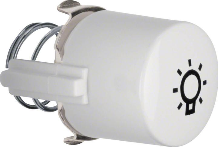 Actual product image Berker Pushbutton
