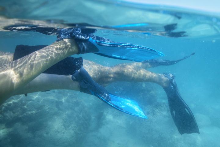 Produktbild Bestway 27029 Taucherflosse Gemischte Farben 37,5-41 5,5-8