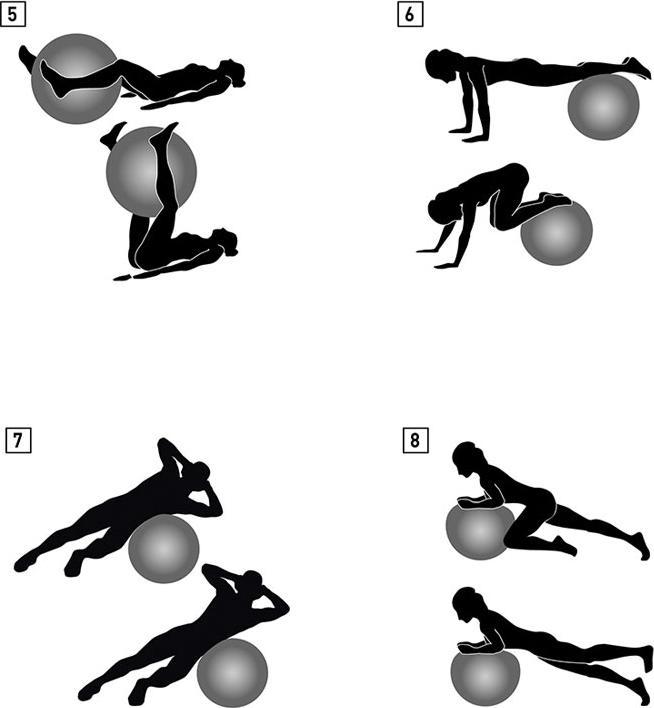 Produktbild Schildkröt Gymnastikball 65 cm (65 cm)