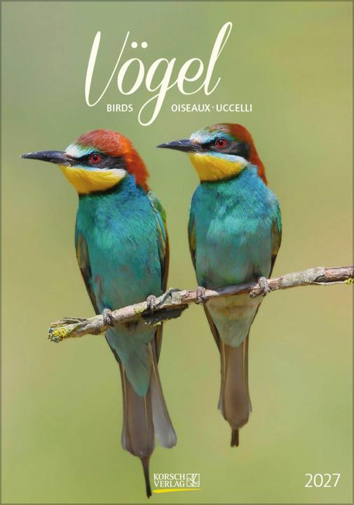 Produktbild Vögel 2027