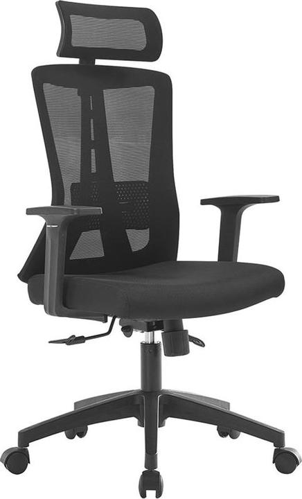Produktbild Contini Ergonomic (47 - 53 cm)