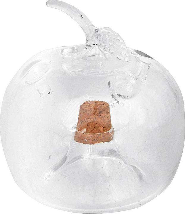 Produktbild Esschert Design Fruchtfliegenfalle Apfel