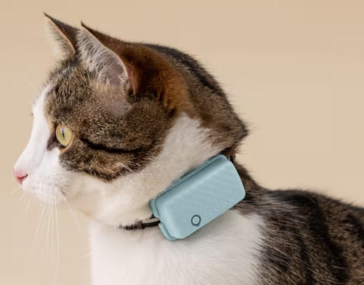 Actual product image Tractive GPS Mini (One size, Cat, General)