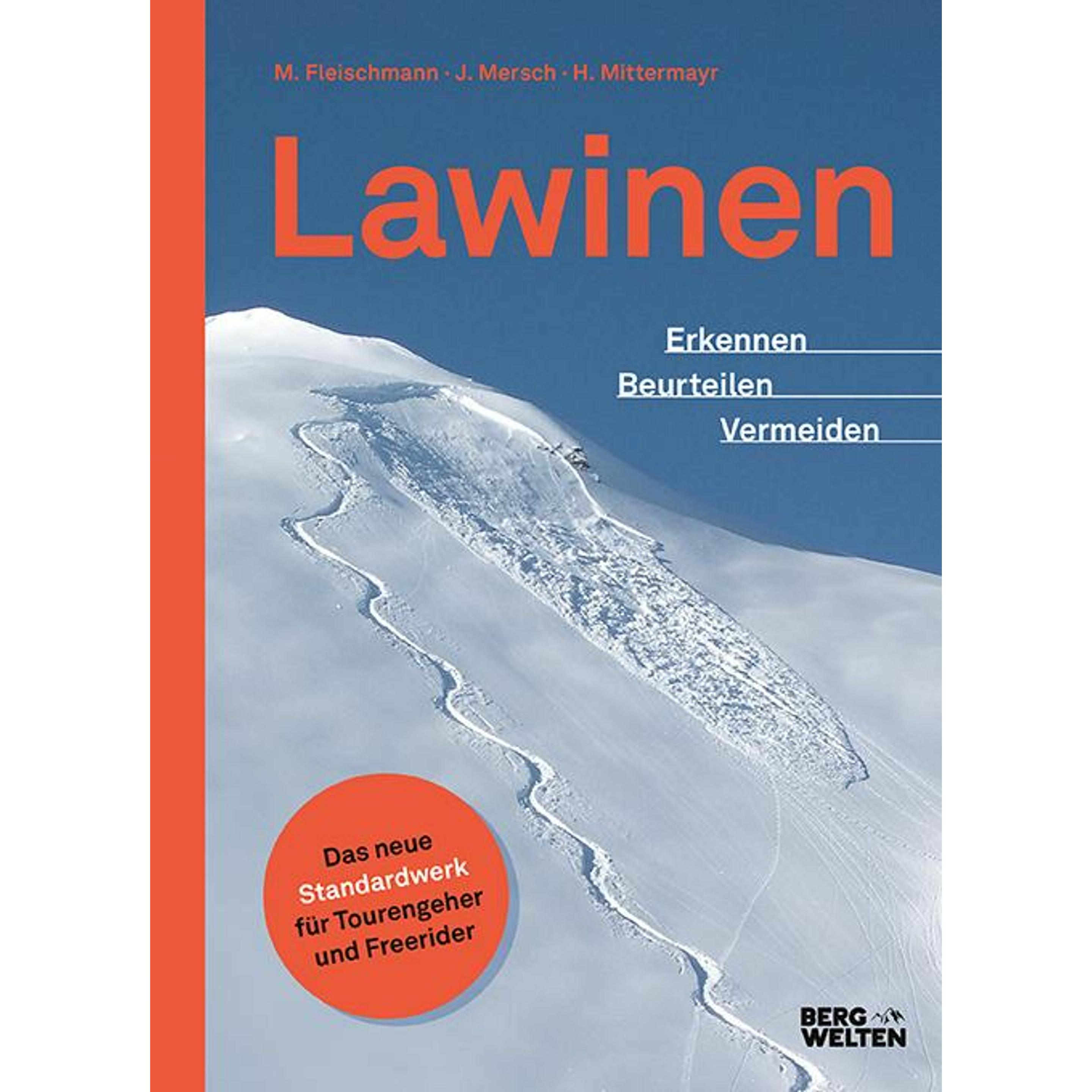 Lawinen, Ratgeber von Jan Mersch