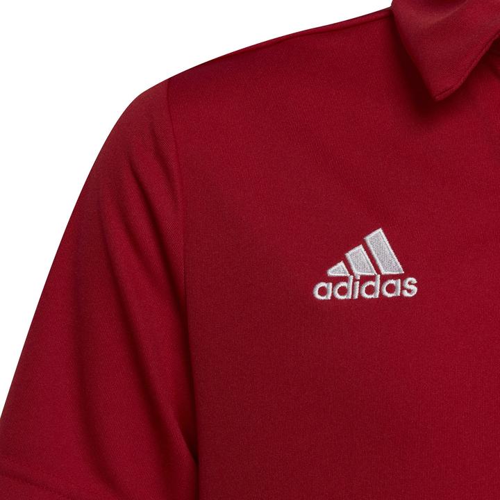 Actual product image adidas Entrada 22 Polo Kids (140)