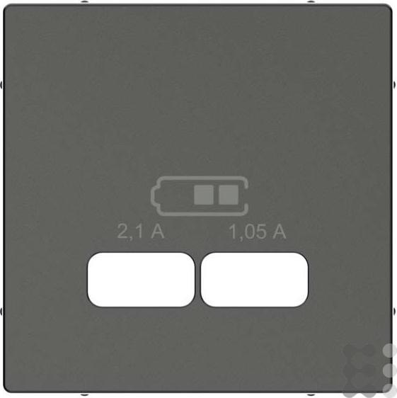 Actual product image Merten Central plate USB charging stationone. anthracite