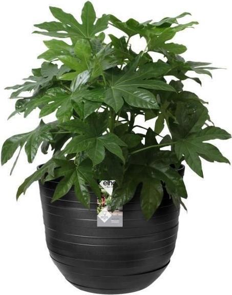 Produktbild Elho Fuente Rings (46.40 x 38.30 cm)