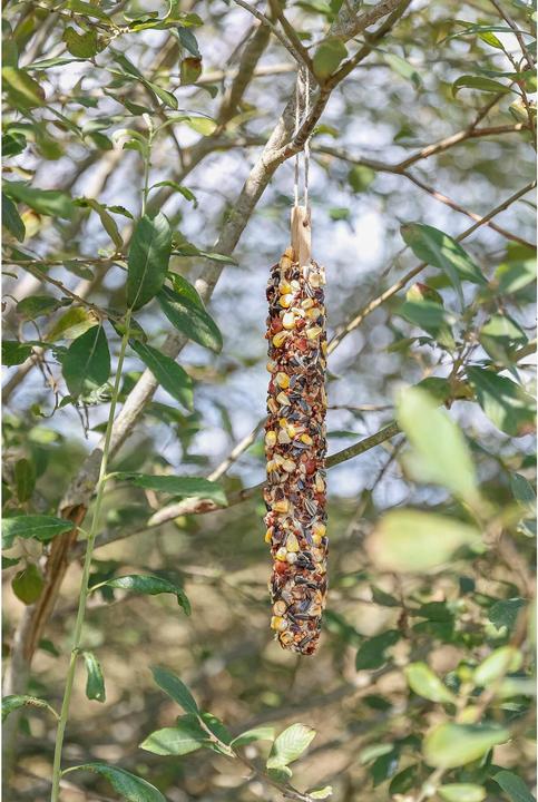 Produktbild Trixie Snack Bar Voor Eekhoorns (0.19 kg)