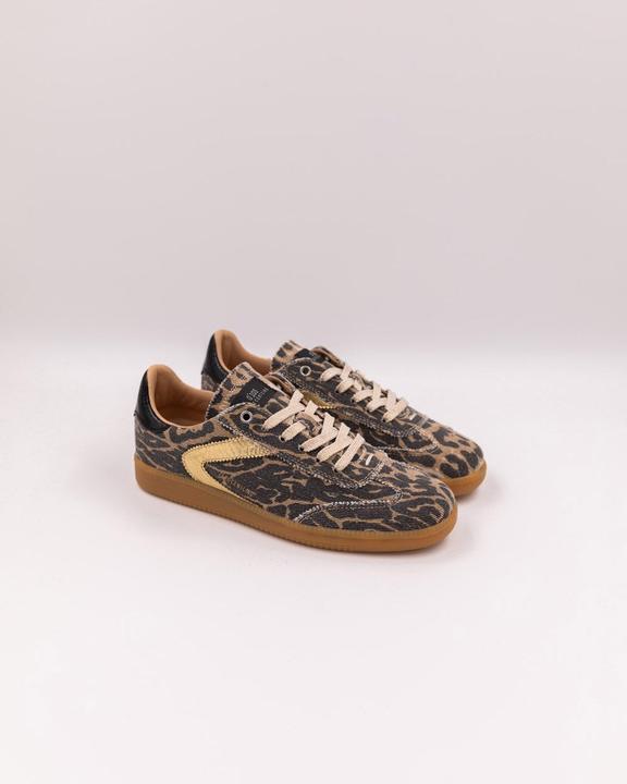 Produktbild 0-105 Nova (36)