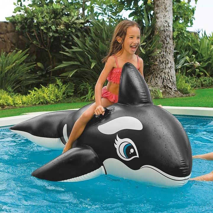 Actual product image Intex Whale