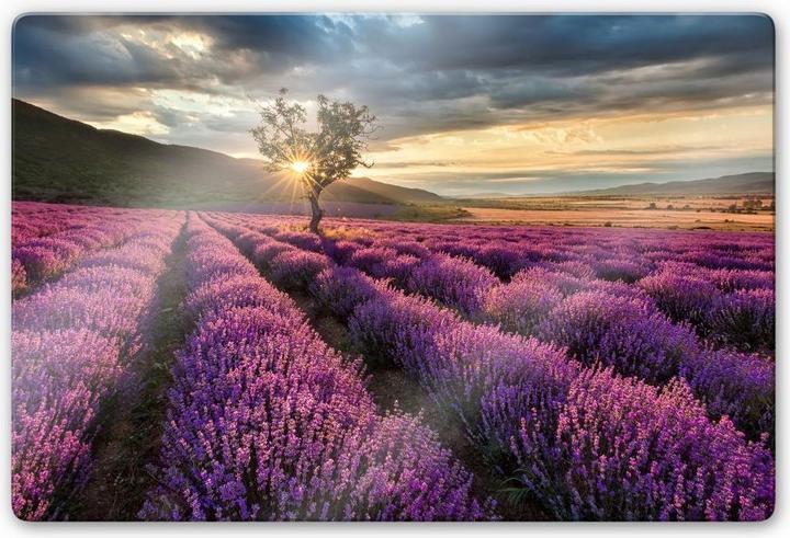 Produktbild Trenddeko Lavendelblüte in der Provence (60 x 40 cm)