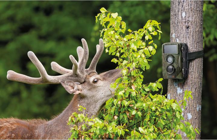 Actual product image Technaxx TX-160 CMOS 25.4 / 3.2 mm (1 / 3.2" ) Night Vision Camouflage 3840 x 2160 Pixel