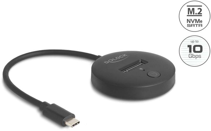 Delock M.2 Dockingstation für M.2 NVMe / SATA SSD mit USB 10