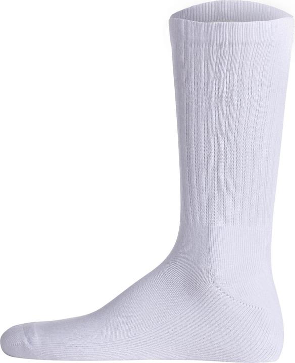 Actual product image Lacoste TB RA4182-6P (pack of 6, 43 - 46)
