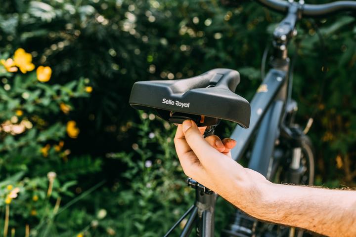 Image du produit Selle Royal Vaia Modéré