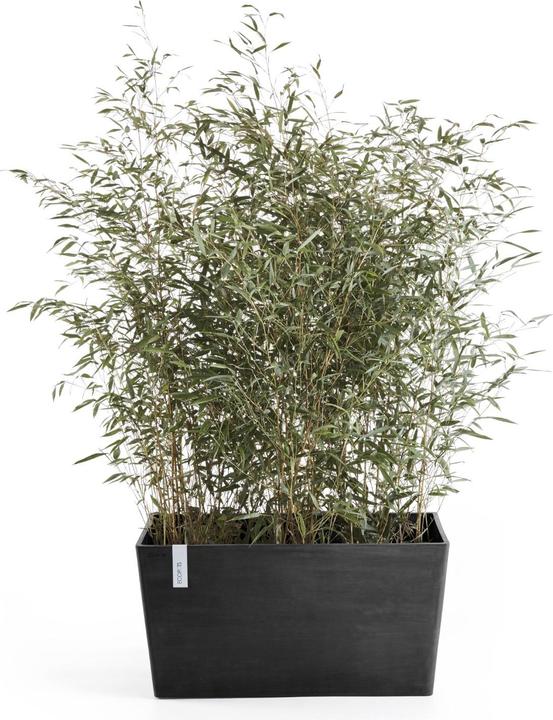 Produktbild Ecopots Paris (38 cm)