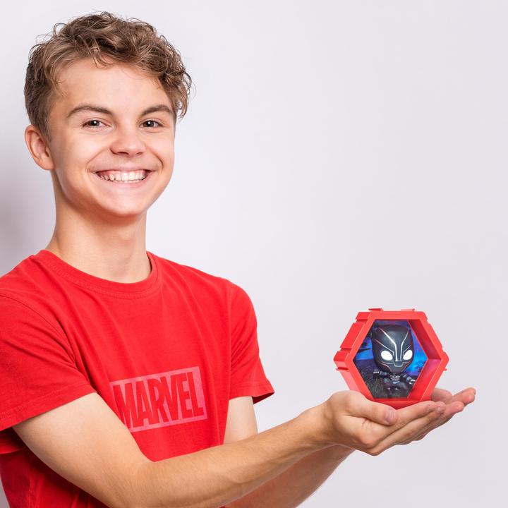 Image du produit Amo Toys POD 4D - Marvel Black Panther (103814)