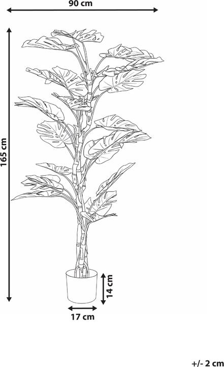 Immagine prodotto Beliani Monstera (165 cm)