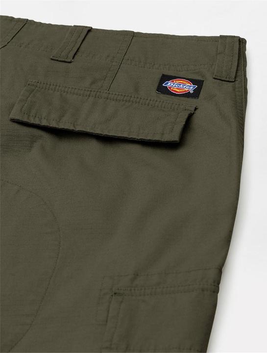 Image du produit Dickies Eagle Bend (32)