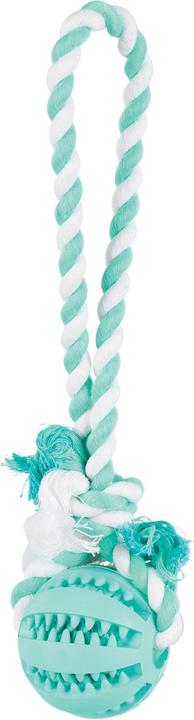 Actual product image Trixie Denta Fun Mintfresh Ball on rope 7cm/24cm (Dog chew toy)