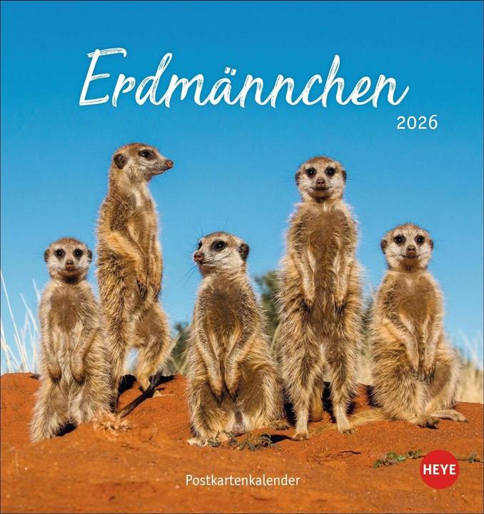 Produktbild Erdmännchen Postkartenkalender 2026
